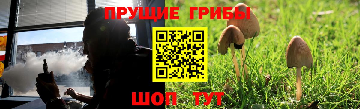 Галлюциногенные грибы Psilocybe  Псилоцибиновые грибы Psilocybe  Вход с VPN  Кумертау 